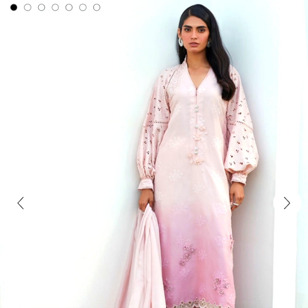 Pakistani indian formal dress